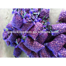 40-60pcs per kg Chestnut from origin